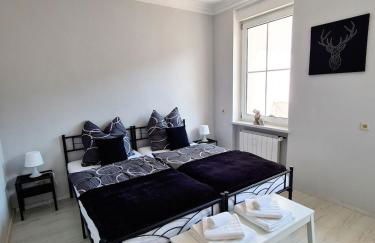 Wohnung mit Blick auf den Rheingrafenstein - Foto 5