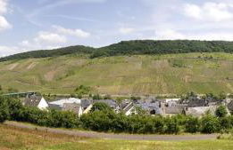 Ferienwohnung "Schöne Aussicht" - Foto 6