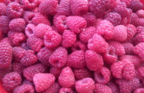 Corte di Tosina - Foto 11