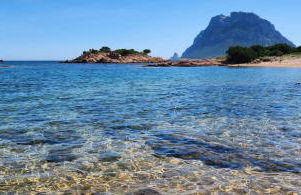 Flamingo's Home - Foto 18