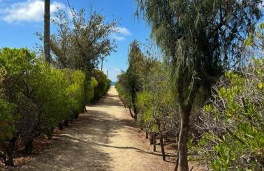 Porto Santo Rentals - Foto 14