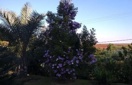 Chácara Atibaia - Foto 74