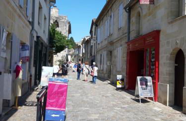Les logis des Vignobles Sainte Emilion en Duplex n 3 avec terrasse - Foto 24