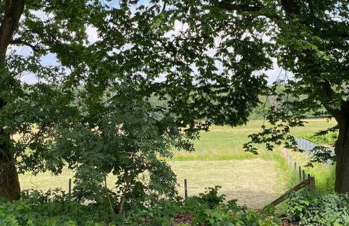 Landhaus Lange3 Moderne Kunst - Photo 40