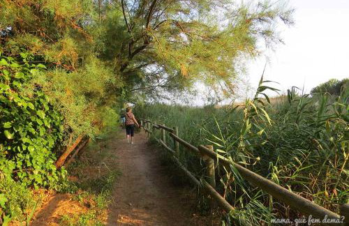 Apartaments La Cabana - Foto 15