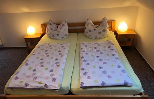 Graureiher - Foto 10