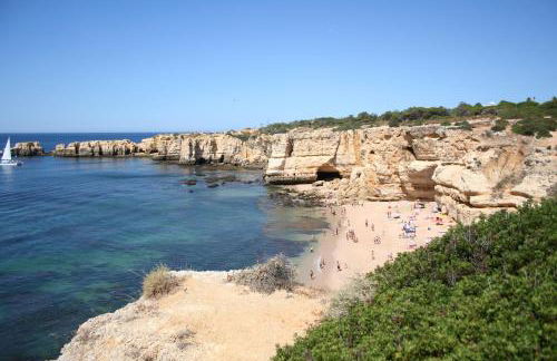 Pine Tree Seaside Apartments 500m to Beach - Foto 27