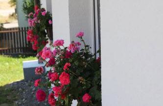 Studio apartman IVAN - Foto 35