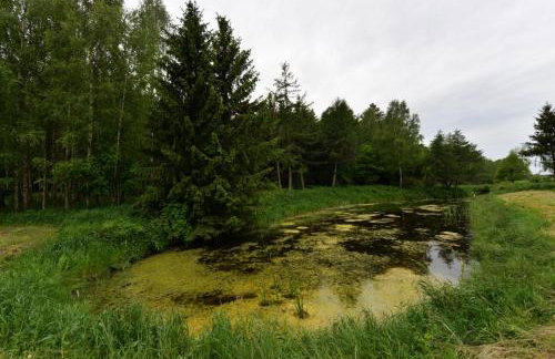 Agrodomek nad stawem - Foto 19