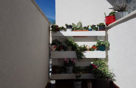 Apartment Romana with a spacious terrace - Foto 49