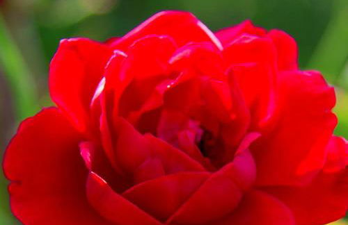 Stapelfeldt - Foto 20