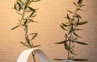 Casa Rural con piscina El Huerto del Olivo, Plasezuela, Trujillo, Cáceres - Foto 44