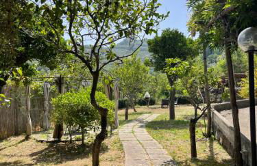 Villa Rosmary - Foto 76