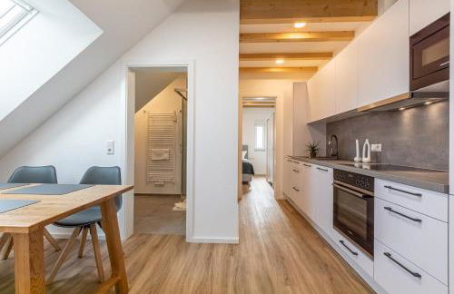 Diana Boardinghouse KONTAKTLOSER SELF CHECK IN & SELF CHECK OUT - Foto 51