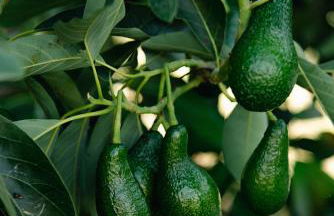 Kukutseli Country Living by WhiteDream Villas - Foto 20