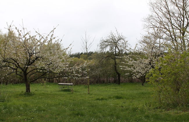 Gorgeous Apartment in Neuburg With Terrace - Foto 53