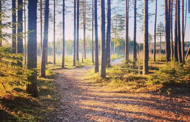 Ski, Sauna, and Scandinavian Serenity Chalet - Foto 30