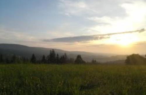 Apartment im Naturpark Steinwald by Interhome - Photo 23