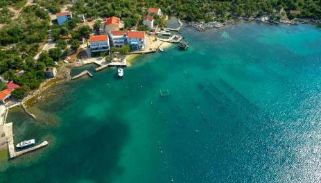 Robinson Dora - Photo 4