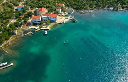 Robinson Dora - Foto 4