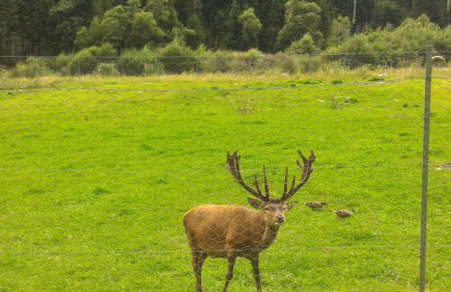 Casa Lausen - Foto 67