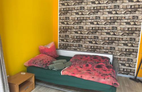 Schwarzer Kater - Foto 7