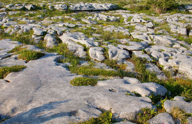 Detached Cottage Overlooking Lake in Connemara - Foto 14