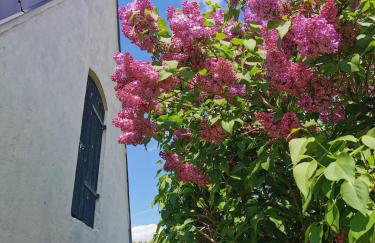 Dom wakacyjny nad jeziorem Zajączkowskim - Foto 24