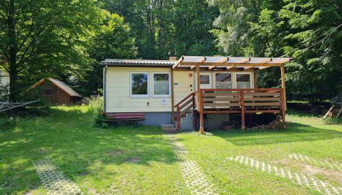 Ferienhaus am Badesee Schönsee Bungalow 12 - Foto 5