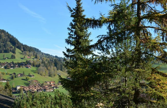 Hornflue (Wohlwender) - Foto 11