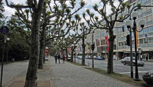 Ferienwohnung-Wiesbaden-Top3 - Foto 2