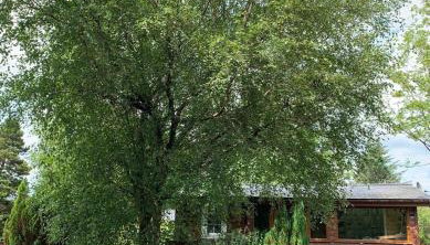 Fernleys Place - Foto 2