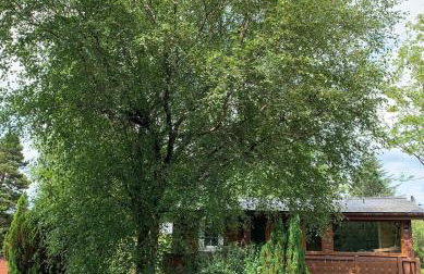 Fernleys Place - Foto 2