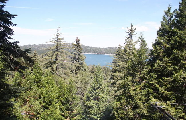 Lakeview House at Lake Arrowhead - Foto 19