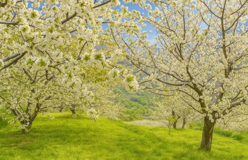 El Mirador de Cabezuela, apartamento con vistas al Valle del Jerte - Foto 17