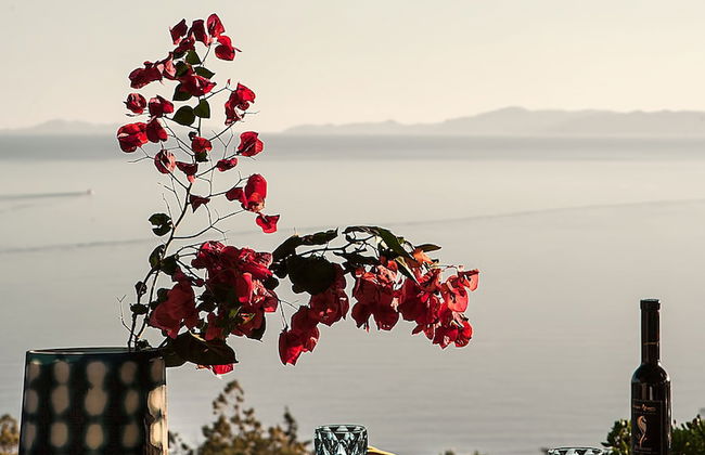 Marathon Blue - Foto 37