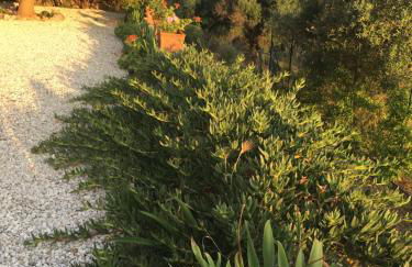 La Terrazza Del Duca - Foto 58