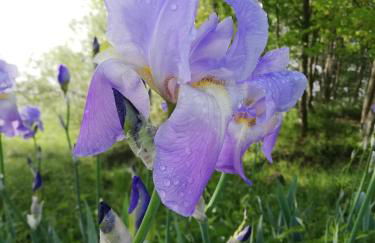 Maison de l'Epine -spa- Versant du soleil - Foto 44