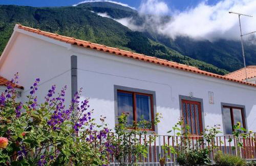 Sunflower Guest House - Madalena - Pico - Photo 1