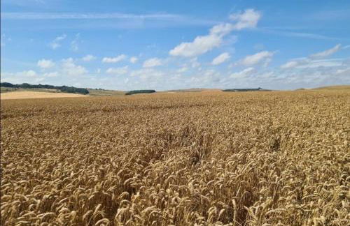 Idyllic period cottage, Ramsbury, Nr Marlborough - Foto 34