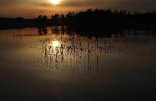 Wiejski Zakątek nad Wigrami - Foto 44