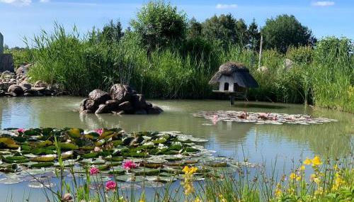 Kiek mol in - Foto 4