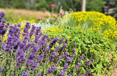 Apartman Barbara - Foto 15