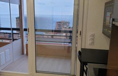 FRONTIÈRE MONACO - Foto 29