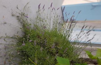 Apartment Pinia with free parking - Photo 50