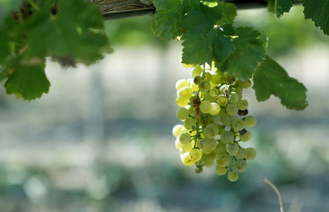 Outstanding Panoramic View, 10΄ Beach, 20΄ Airport - Foto 40