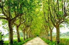 Appartement familial à Arles avec jardin et piscine - Foto 11