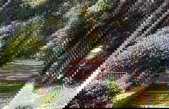 Il Castellaro Country House - Foto 70