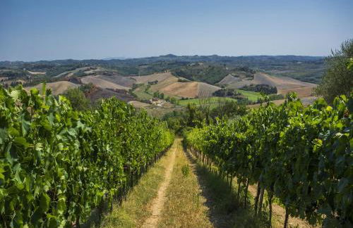 Varna Charm Tuscan Getaway - Foto 39