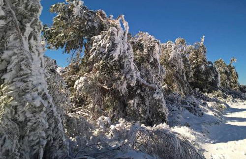 Casa Oeste - Photo 65